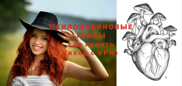 ГАЛЛЮЦИНОГЕННЫЕ ГРИБЫ Алзамай