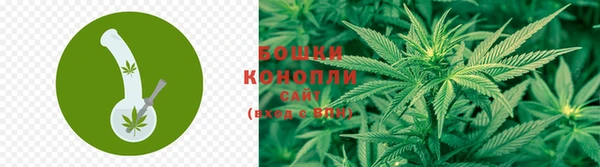 ГАЛЛЮЦИНОГЕННЫЕ ГРИБЫ Алзамай