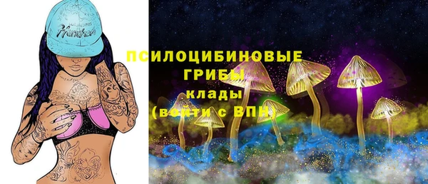 спиды Алексеевка